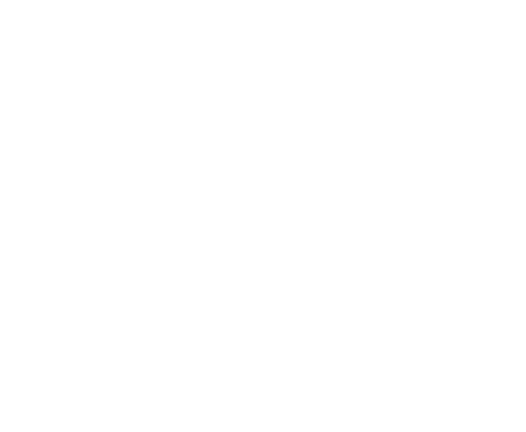 CHUSEN Co., Ltd.